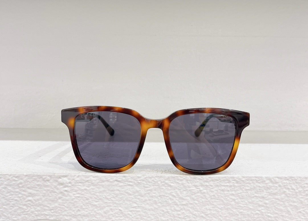 Black and Brown Sunglass