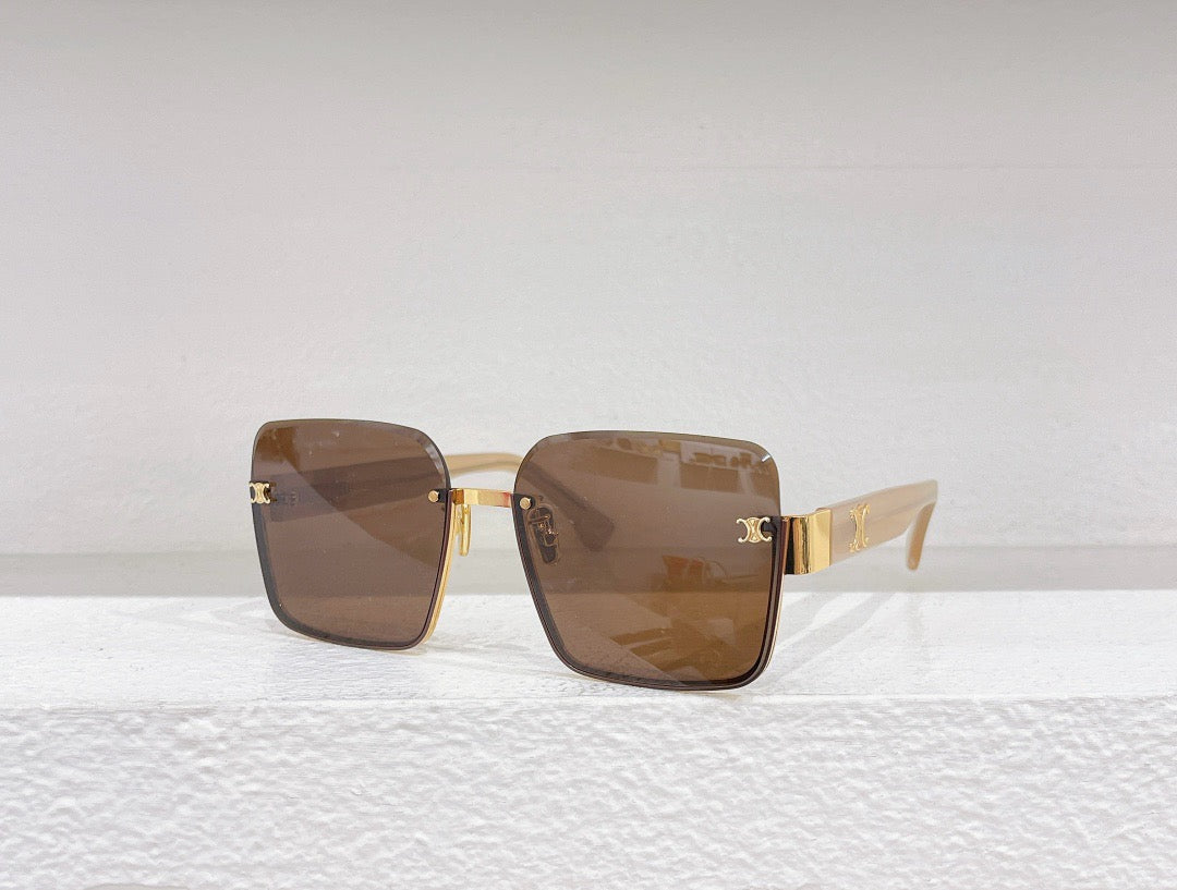 Blue,Black and Brown Sunglass