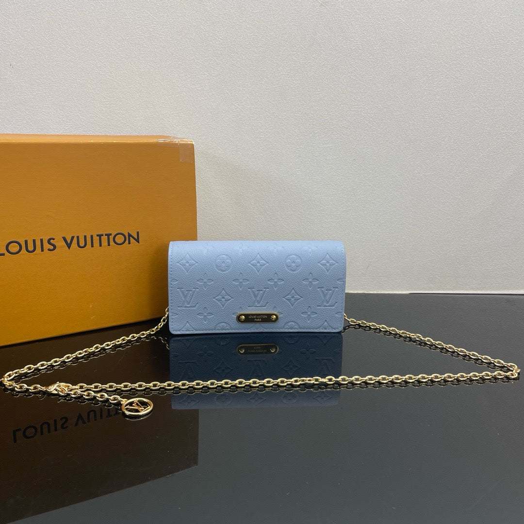 Sky blue and Black Bag